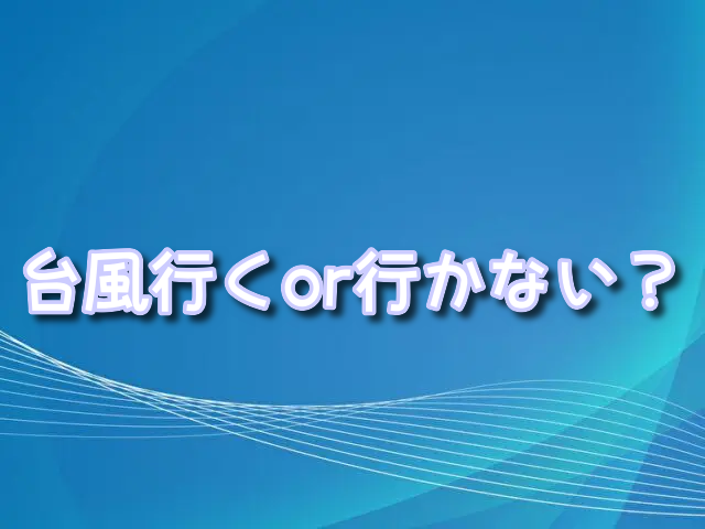 ディズニー　台風　チケット