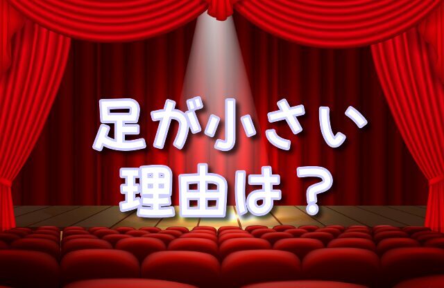 シンデレラ　足