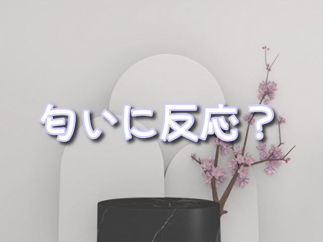 空気清浄機　オナラ